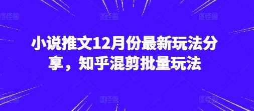 小说推文12月份最新玩法分享,知乎混剪批量玩法,课程,视频,第1张 小说推文12月份最新玩法分享,知乎混剪批量玩法,课程,视频,第1张
