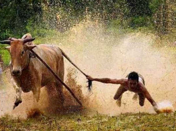 股哥训练营 只会炒股第24期2022.4,课程,基础,2022,第1张 股哥训练营 只会炒股第24期2022.4,课程,基础,2022,第1张