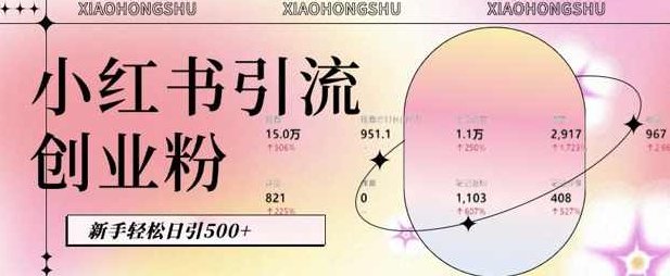 小红书私域引流无脑操作法：AI生成内容，粉丝自动转化，新手轻松日引500+创业粉,课程,创业,掌握,第1张