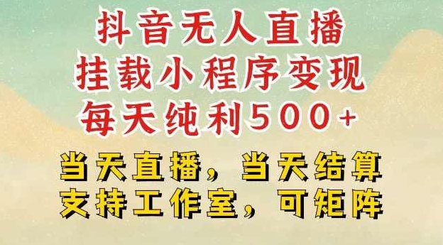 抖音无人直播挂载小程序变现每天纯利500+当天直播，当天结算支持工作室，可矩阵【揭秘】,抖音,赚钱,揭秘,第1张