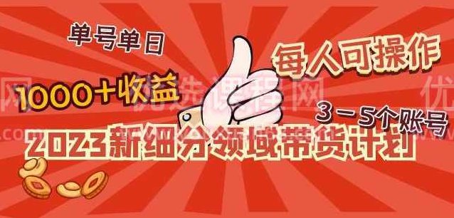2023新细分领域带货计划：单号单日1000+收益不难，每人可操作3-5个账号,制作,赚钱,讲解,第1张