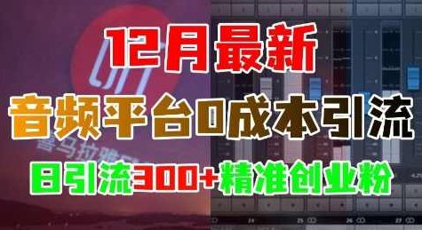 12月最新：音频平台0成本引流，日引流300+精准创业粉,视频,创业,赚钱,第1张