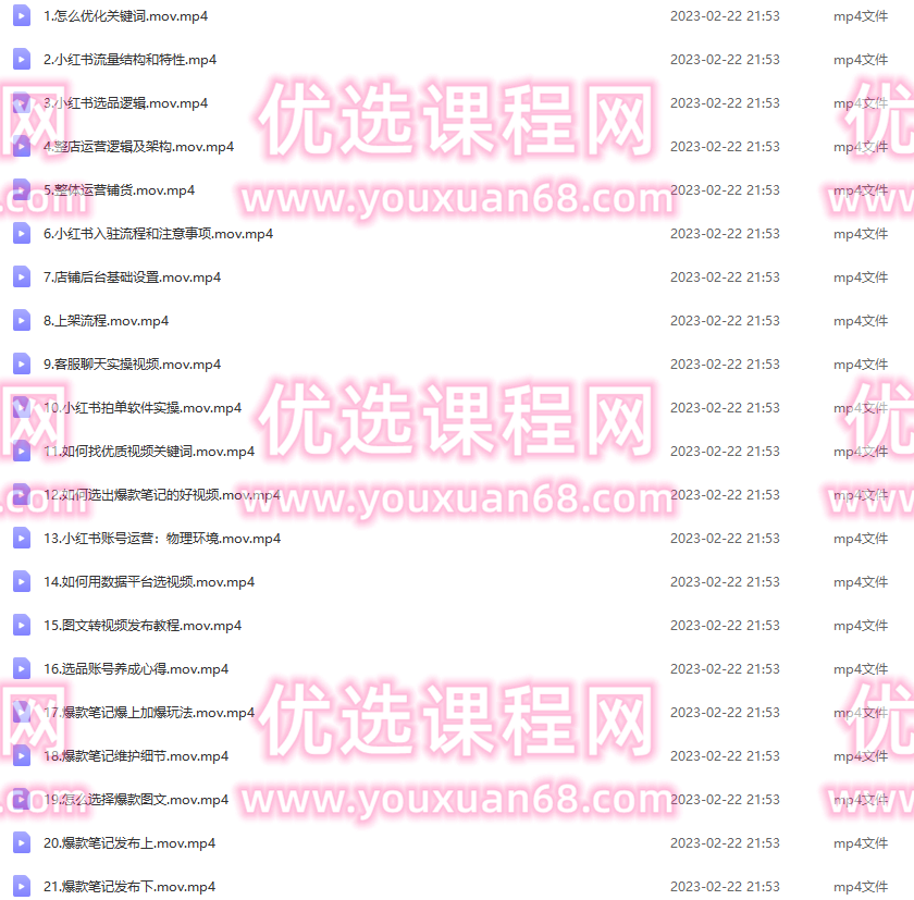 小红书电商高阶系统教程，新手从入门到精通系统课,教程,创业,小红书,第2张