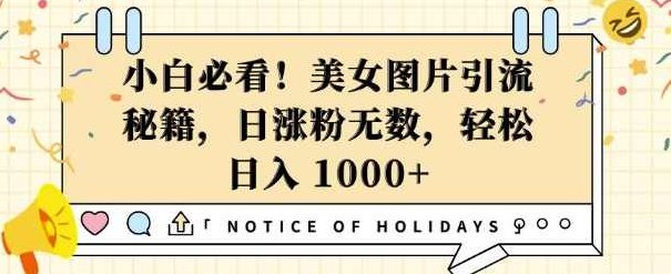 小白必看，美女图片引流秘籍，日涨粉无数，轻松日入几张【揭秘】,视频,教程,秘籍,第1张