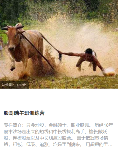 股哥端午班训练营,课程,训练营,第1张
