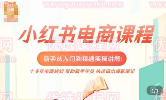 小红书电商新手入门到精通实操课，从入门到精通做爆款笔记，开店运营,课程,小红书,注意事项,第1张