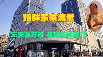 蹭胖东来流量，三天涨万粉，收益直接起飞【项目拆解】,视频,赚钱,项目拆解,第1张