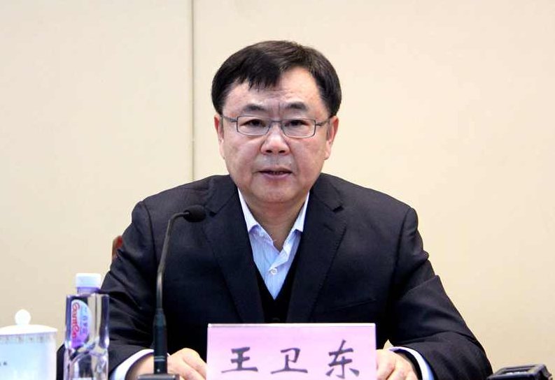 王卫东 从企业发展角度培养员工职业化核心竞争力,发展,价值,竞争,第1张