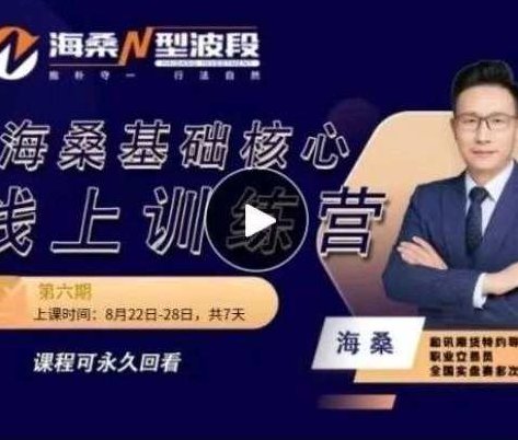 【期货课程】陈金辉海桑N型波段：8月22日海桑基础核心线上训练营,课程,基础,第1张