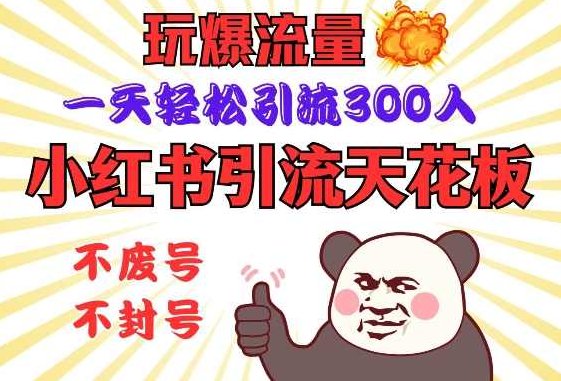 小红书引流天花板，玩爆流量，一天轻松引流300人，安全操作,课程,创业,介绍,第1张