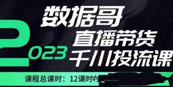 数据哥2023直播电商巨量千川付费投流实操课，快速掌握直播带货运营投放策略,课程,视频,抖音,第1张