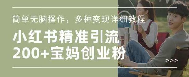 小红书混剪日引200+宝妈创业粉，简单无脑操作，多种变现详细教程【揭秘】,教程,创业,揭秘,第1张