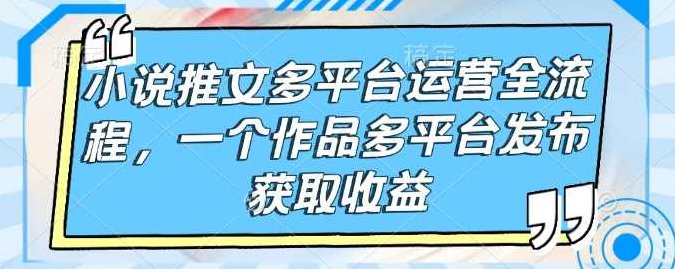 小说推文多平台运营全流程，一个作品多平台发布获取收益【揭秘】