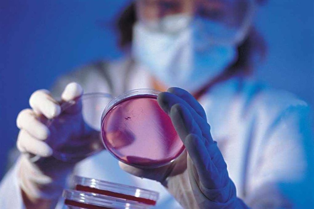 边志杰 中国好员工-保证完成任务,课程,专家,设计,第1张