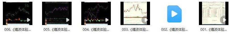 杨甫国《缠波体验版》,课程,第2张