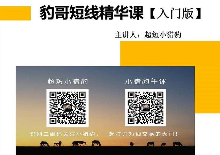 超短小猎豹-豹哥短线精华课入门版,课程,第1张