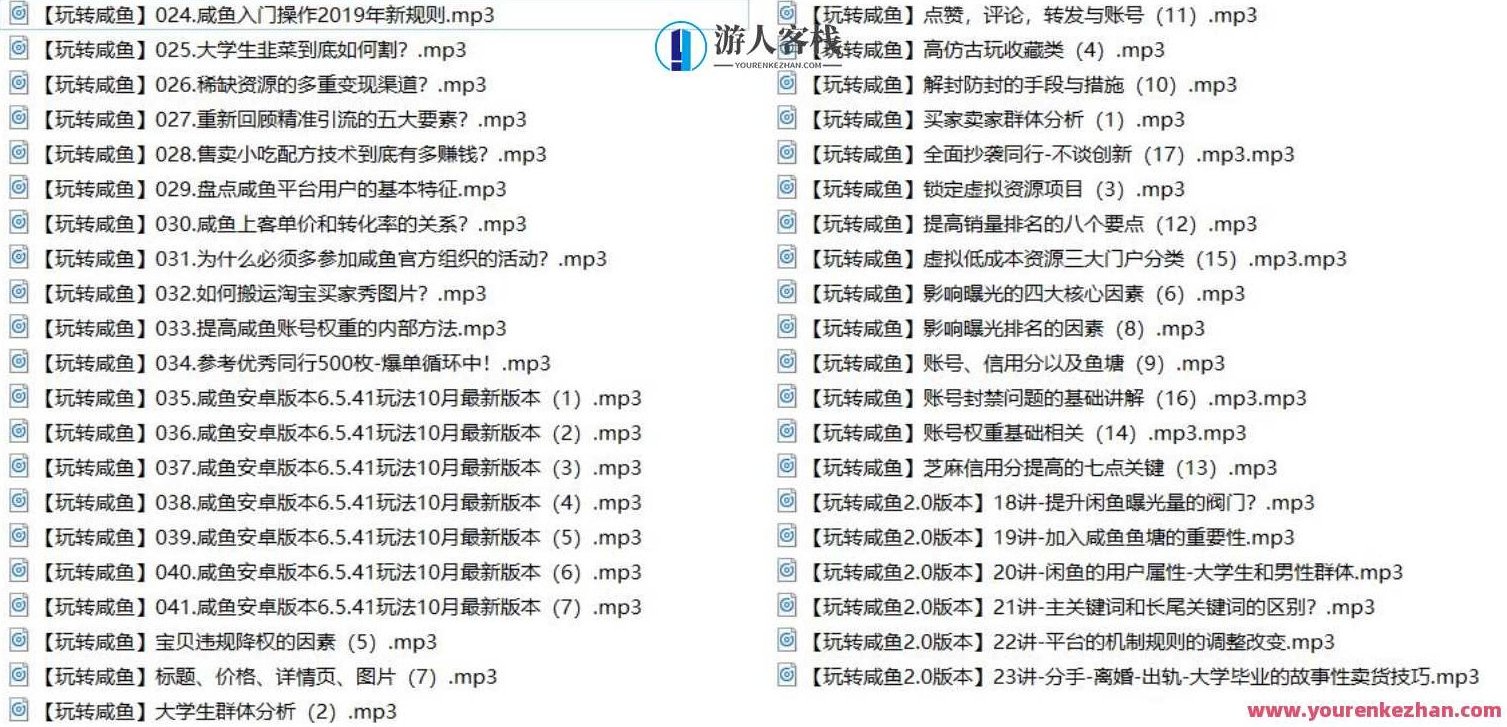 玩赚咸鱼赚钱基础日门41课，咸鱼赚钱进阶之路，基础日门41课进阶攻略