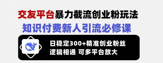 交友平台暴力截流创业粉玩法，知识付费新人引流必修课，日稳定300+精准创业粉丝，逻辑相通可多平台放大,课程,视频,创业,第1张