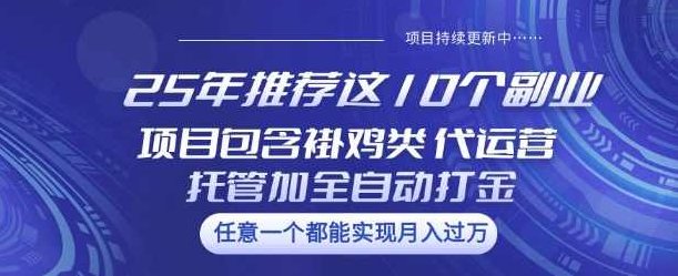 25年推荐这10个副业项目包含褂鸡类、代运营托管类、全自动打金类【揭秘】,揭秘,介绍,副业,第1张 25年推荐这10个副业项目包含褂鸡类、代运营托管类、全自动打金类【揭秘】,揭秘,介绍,副业,第1张