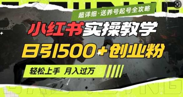 2月小红书最新日引500+创业粉实操教学【超详细】小白轻松上手，月入1W+，附小红书养号起号SOP【揭秘】,课程,设计,制作,第1张