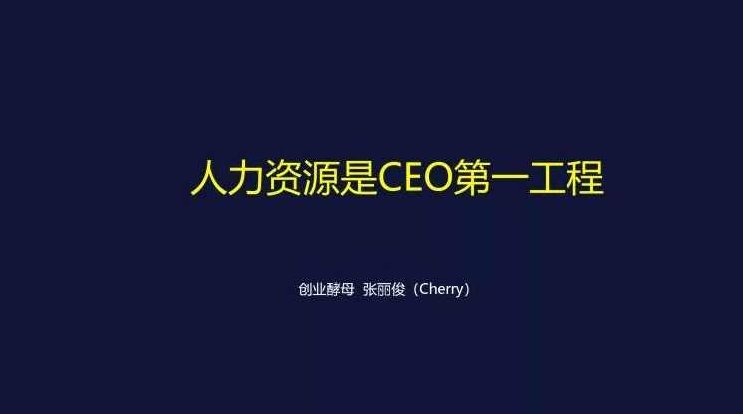HR 人力资源是CEO第一工程,培训,掌握,支持,第1张 HR 人力资源是CEO第一工程,培训,掌握,支持,第1张