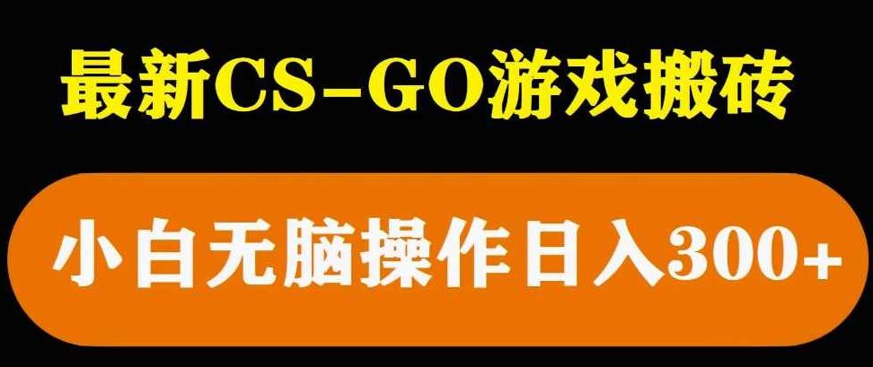 最新csgo游戏搬砖游戏，无需挂机小白无脑也能日入300+,教程,批量放大,暴力项目,第1张