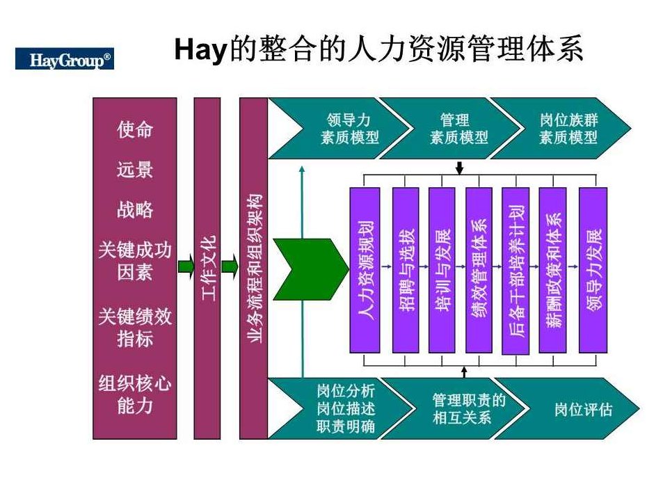 人力资源管理 企业的业务价值链构建强健组织力,课程,支持,力量,第1张 人力资源管理 企业的业务价值链构建强健组织力,课程,支持,力量,第1张