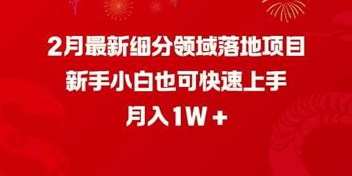 2月最新细分领域落地项目，新手小白也可快速上手，月入1W【揭秘】,课程,抖音,第1张