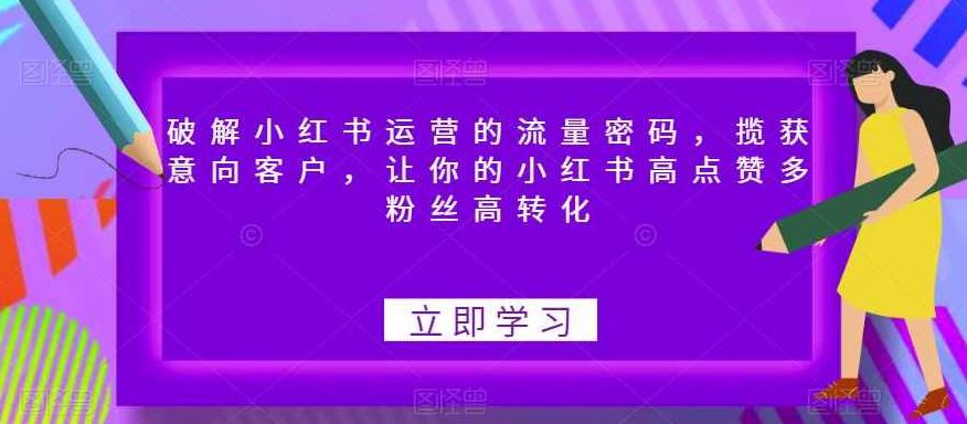 破解小红书运营的流量密码,揽获意向客户,让你的小红书高点赞多粉丝高转化,课程,视频,教学,第1张 破解小红书运营的流量密码,揽获意向客户,让你的小红书高点赞多粉丝高转化,课程,视频,教学,第1张