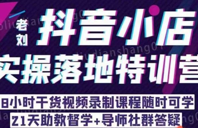 老刘·抖店商品卡流量，抖音小店实操落地特训营，8小时干货视频录制课程随时可学,课程,视频,第1张