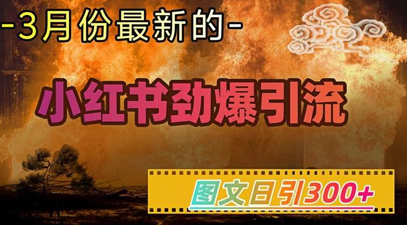 小红书超劲爆引流手段，图文日引300+轻松变现1W【揭秘】,课程,制作,揭秘,第1张