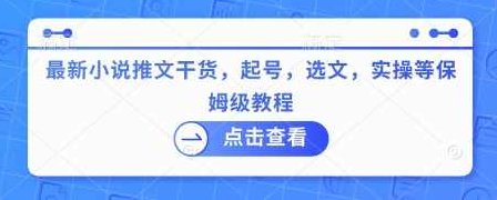 最新小说推文干货，起号，选文，实操等保姆级教程【揭秘】,教程,揭秘,副业,第1张