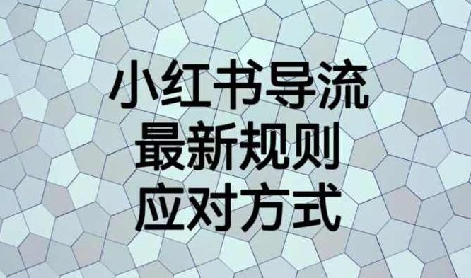小红书导流最新规则应对方式【揭秘】,课程,教程,揭秘,第1张