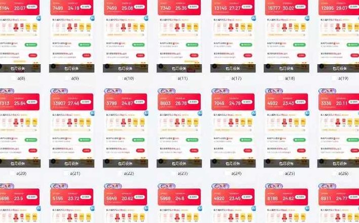 25年最新项目批量操作，小白也能轻松月入过W，可无限放大【揭秘】,揭秘,介绍,批量操作,第3张