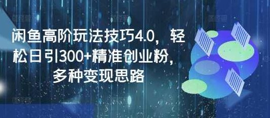 闲鱼高阶玩法技巧4.0，轻松日引300+精准创业粉，多种变现思路【揭秘】,课程,制作,创业,第1张