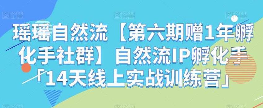 瑶瑶自然流【第六期赠1年孵化手社群】自然流IP孵化手「14天线上实战训练营」,课程,视频,2022,第1张