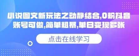 小说推文图文新玩法之动静结合，0粉抖音账号可做，简单粗暴，单日变现多张【揭秘】,课程,抖音,揭秘,第1张