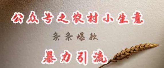 deepseek写农村小项目，条条爆款，暴力引流【揭秘】,课程,揭秘,第1张