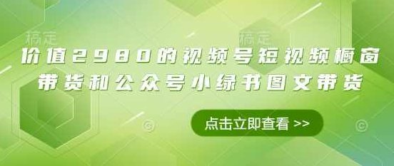 价值2980的视频号短视频橱窗带货和公众号小绿书图文带货,视频,教程,介绍,第1张
