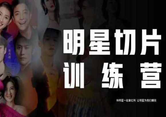 王子·明星切片线上训练营（2023），和明星一起拿红利，让明星为我们赚钱,课程,视频,教程,第1张