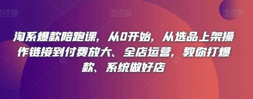 淘系爆款陪跑课，从0开始，从选品上架操作链接到付费放大、全店运营，教你打爆款、系统做好店,课程,研究,销售,第1张