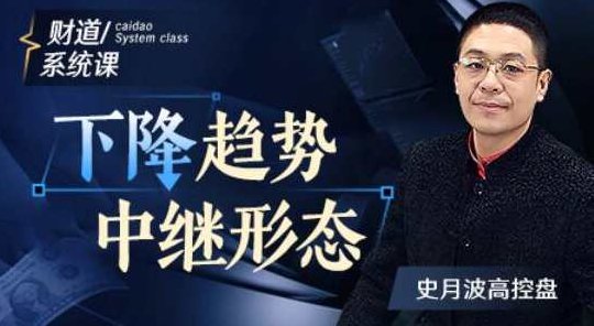 【史月波高控盘】史月波 下降趋势中继形态 共12讲,课程,第1张