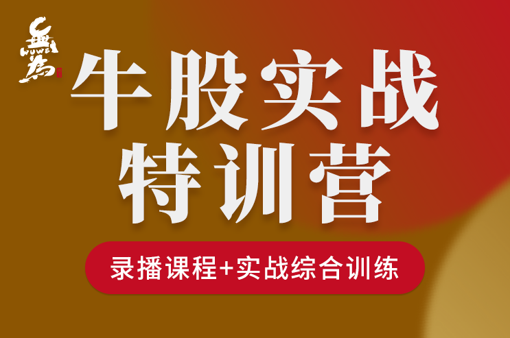 无为学院牛股实操特训营（1N） 47节,课程,训练营,股票,第1张