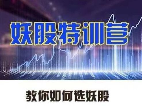 李栋妖股特训营，教你如何选妖股,课程,制作,案例分析,第1张