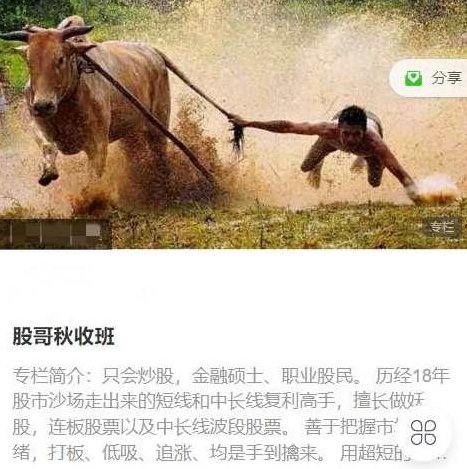 只会炒股2023年8-10月 股哥秋收班视频课程,课程,视频,视频课程,第1张