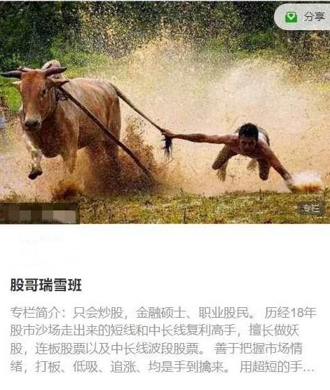 只会炒股2023年11-12月 股哥瑞雪班视频课程,课程,视频,视频课程,第1张