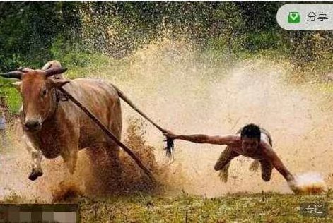 只会炒股2024年3-5月 股哥春分班视频课程,课程,视频,视频课程,第1张