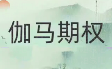 伽马期权2024年课程,课程,基础,CD,第1张 伽马期权2024年课程,课程,基础,CD,第1张