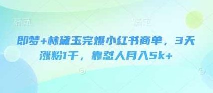 即梦+林黛玉完爆小红书商单，3天涨粉1千，靠怼人月入5k+【揭秘】,揭秘,资料,介绍,第1张