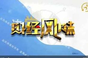 【边风炜】边风炜财经风味2024年-边学边赚视频教程,视频,教程,视频教程,第1张
